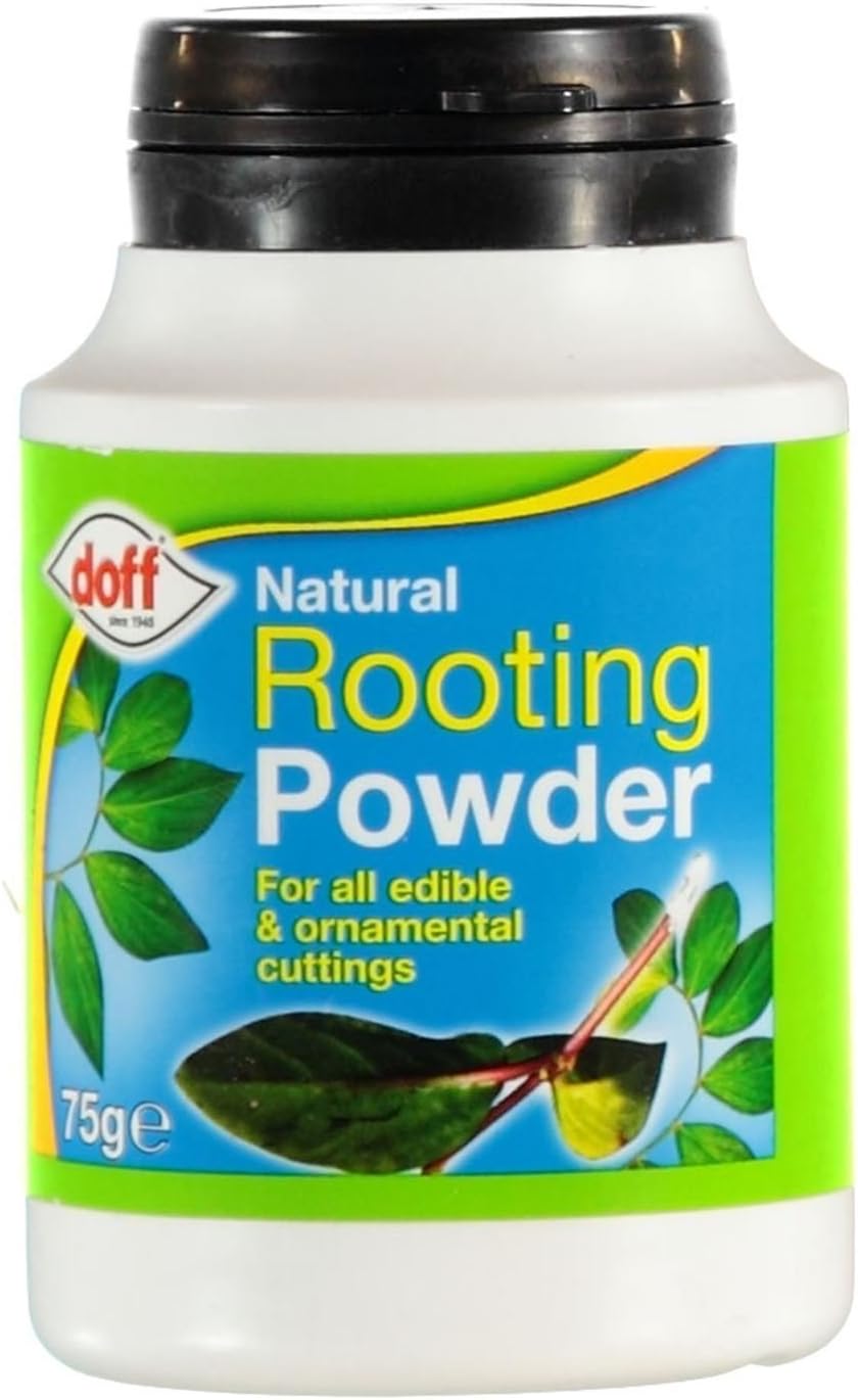 Best Rooting Hormone: Boost Plant Growth with Top Products