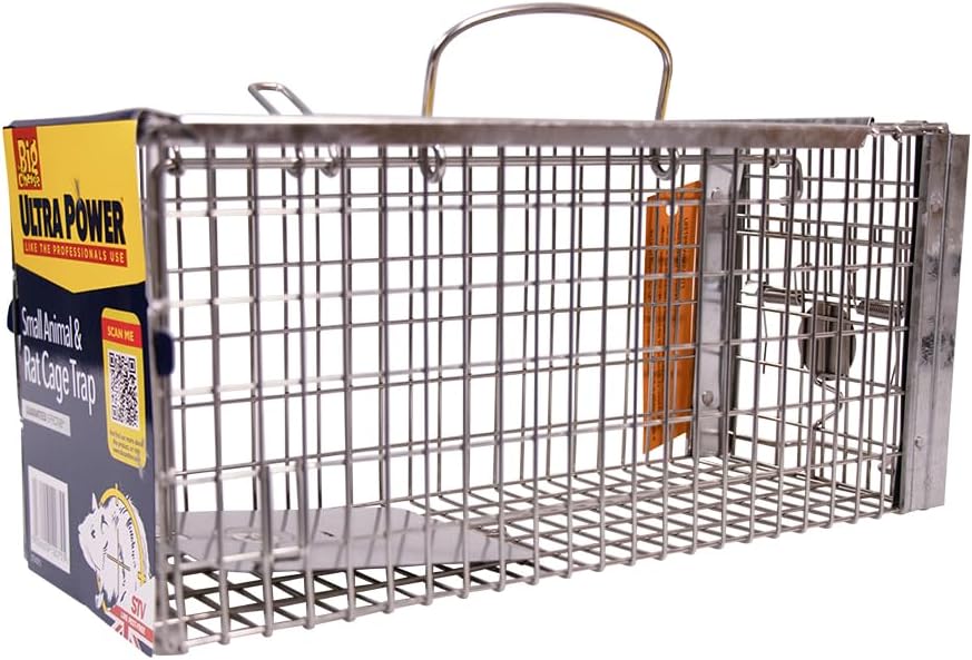 Best Rat Trap 2024: Top 5 Rat Traps for Effective Rodent Control