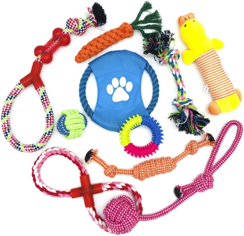 Best Toy for Dogs: Top Picks for Happy Pups