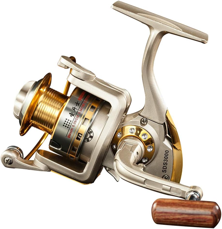 Best Reel - Top 5 Reels for Your Ultimate Fishing Experience