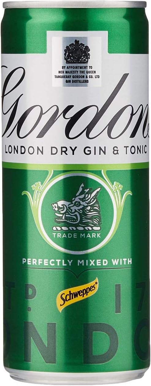 Best Gin and Tonic: Top Picks for Gin Lovers