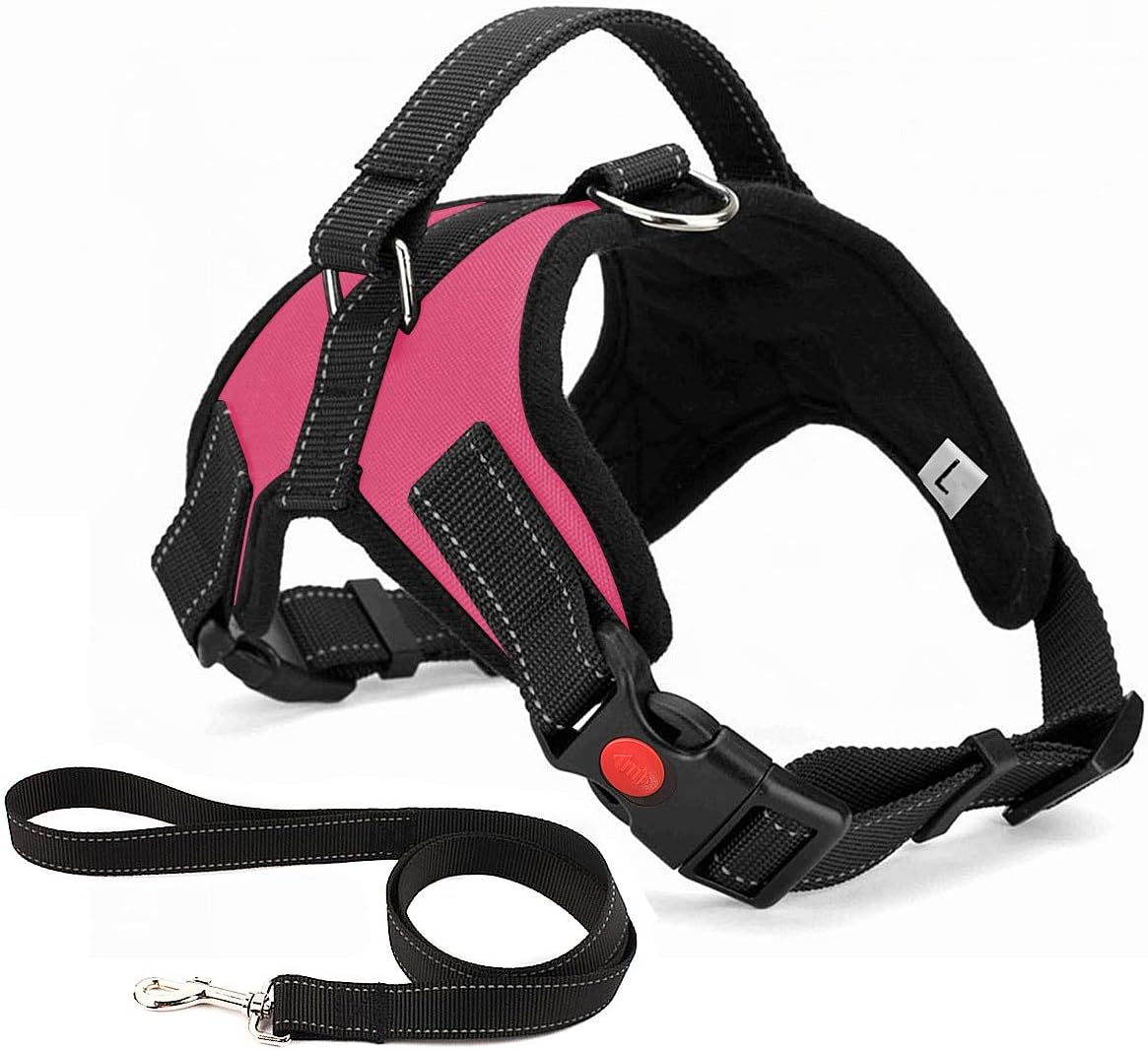 Best Harness for Dogs: Top Picks for Walking Your Furry Friend