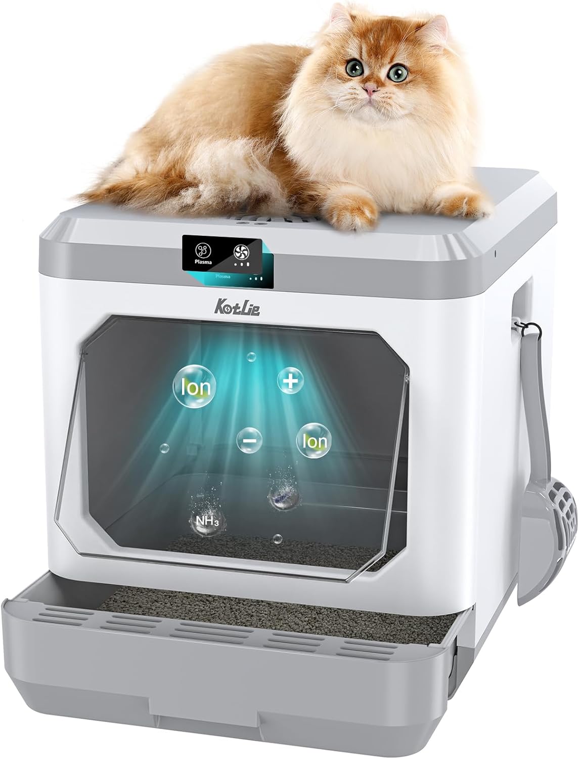 Best Smart Litter Box 2024: Top Picks for Your Feline Friend