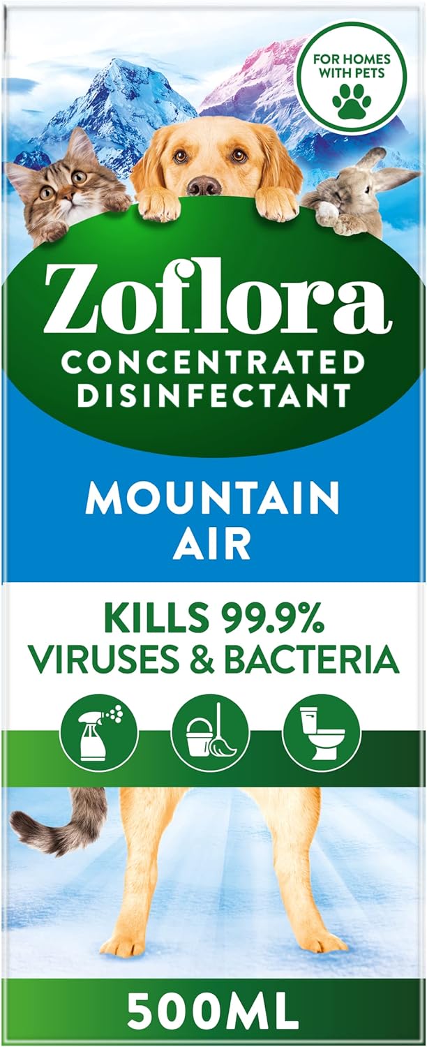 Best Disinfectant: Top 5 Powerful Solutions for a Clean Home