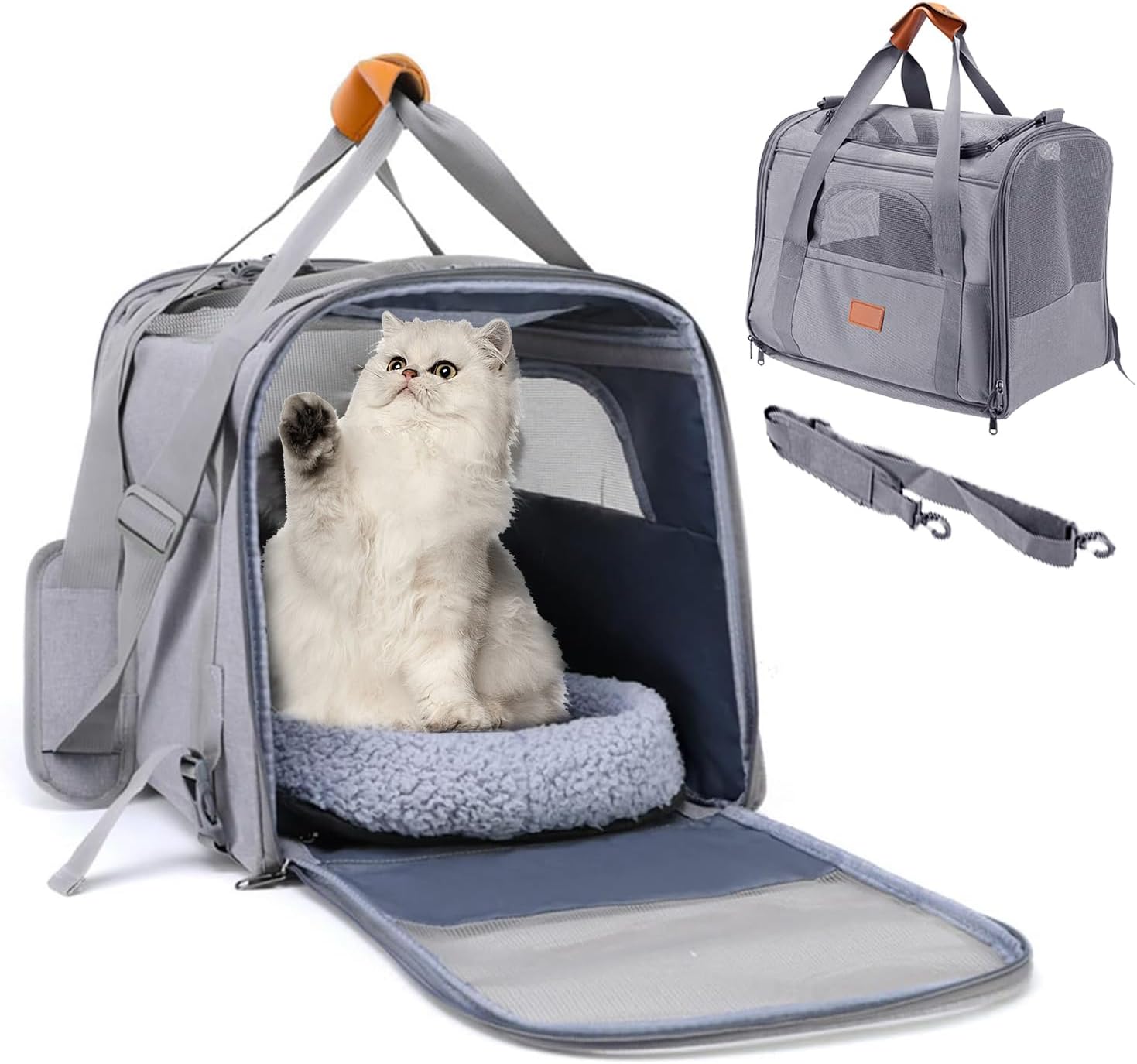 Best Transport Cage for Animals: Top Picks for Safe and Comfortable Travel