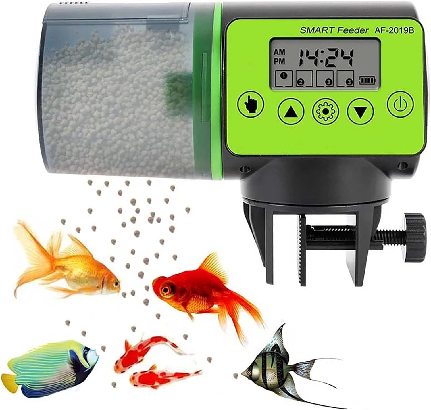 Best Automatic Fish Feeder 2024 - Top Picks for Easy Fish Feeding