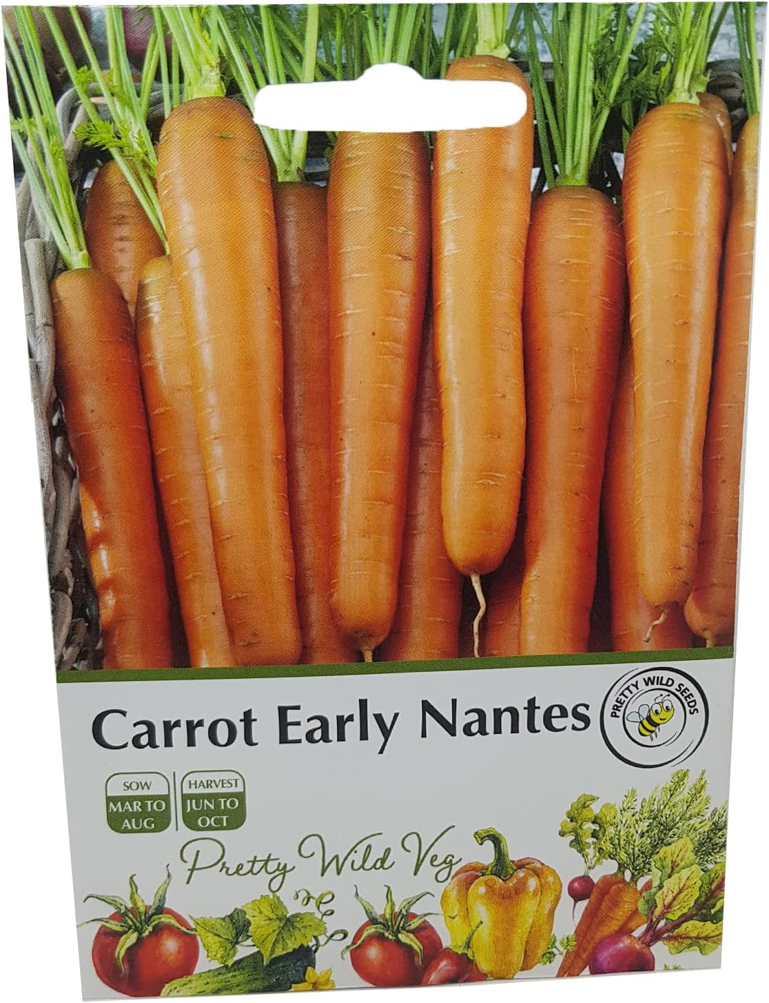 Best Carrot Seed - Top Picks for Vibrant Orange Carrots