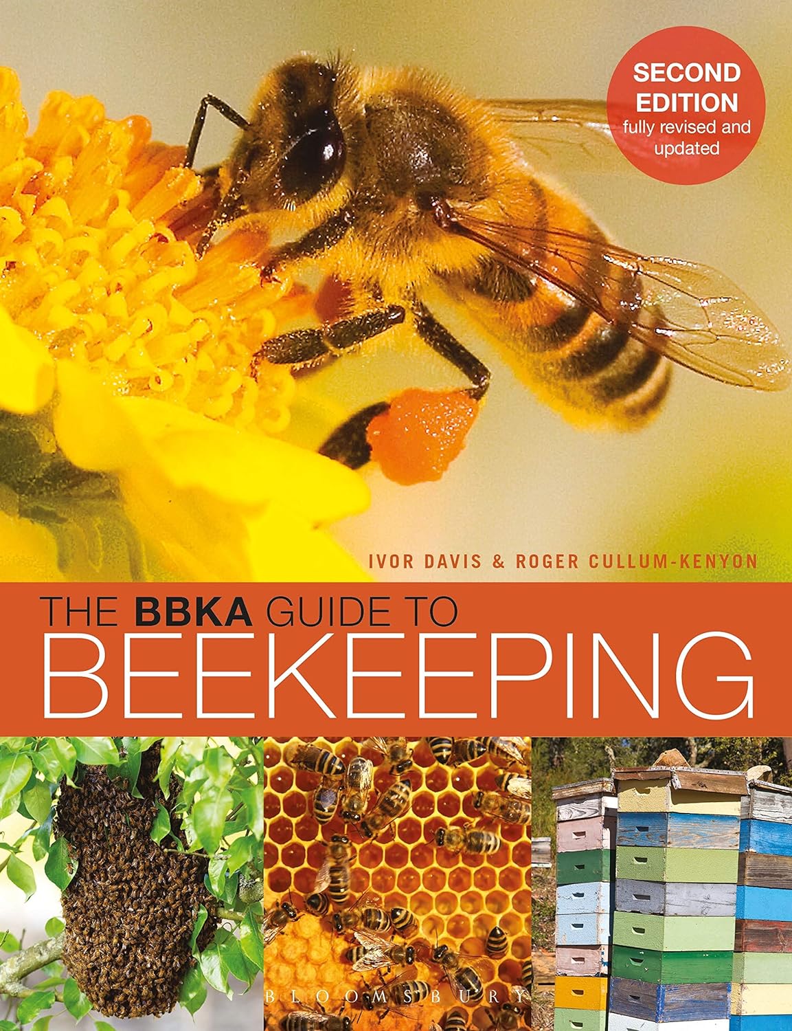 Best Beekeeping Book: Your Essential Guide to Mastering Beekeeping